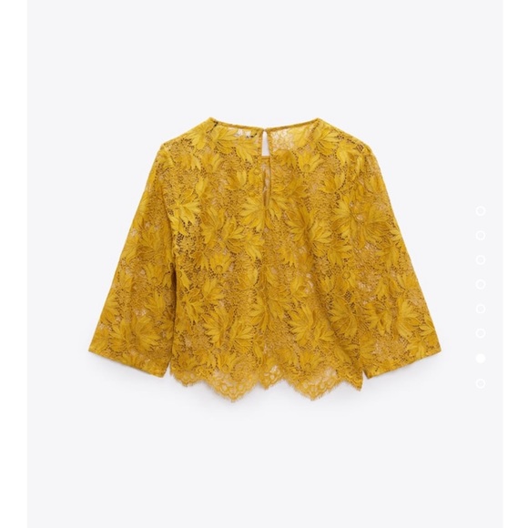 Zara floral lace blouse. Beautiful detailing. - Picture 6 of 8